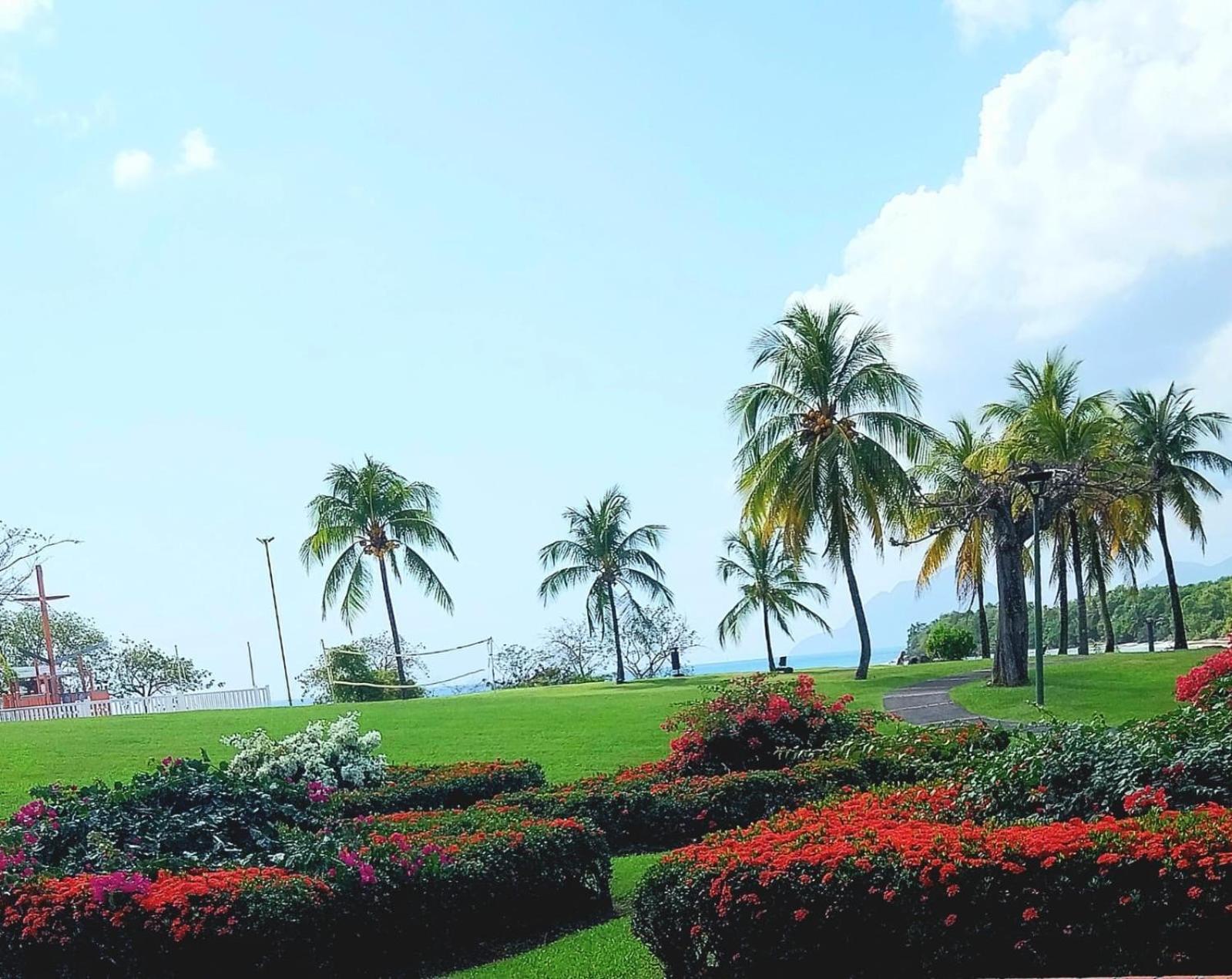 Residence Au Coeur Des Iles Martinique 23 Sainte-Luce Dış mekan fotoğraf