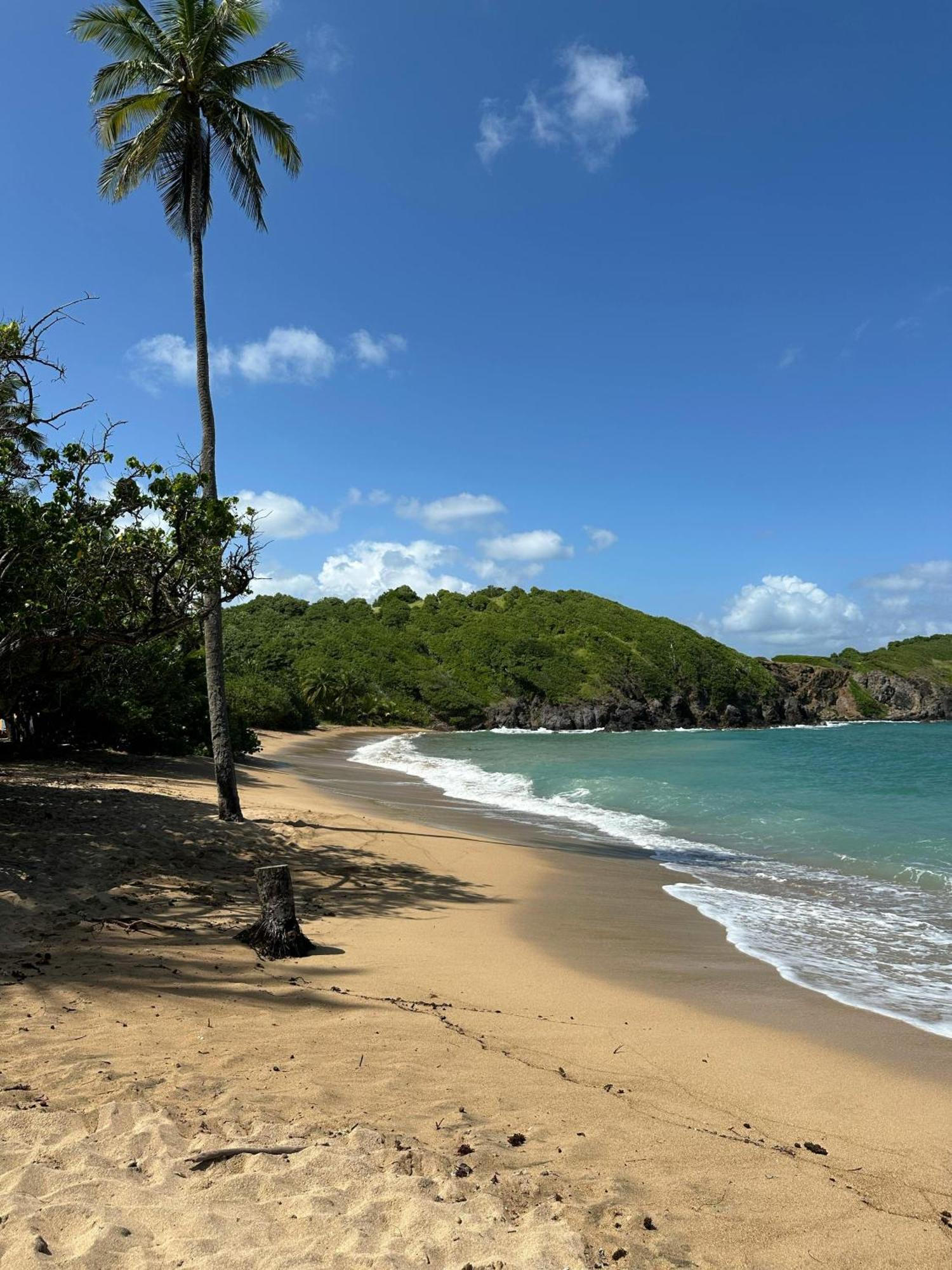 Residence Au Coeur Des Iles Martinique 23 Sainte-Luce Dış mekan fotoğraf
